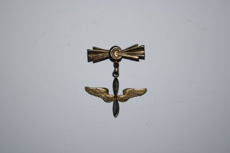 Pin, Military                           