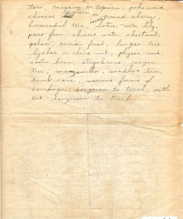 Travel Account of Victor Iams, back of previous page